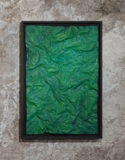 Rolf Sachs Moos Feuchte, 2023