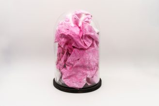 Memory of an Encounter, 2025